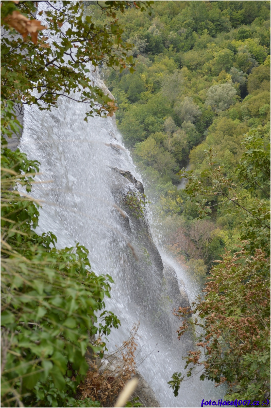 DSC_7420_orin.jpg