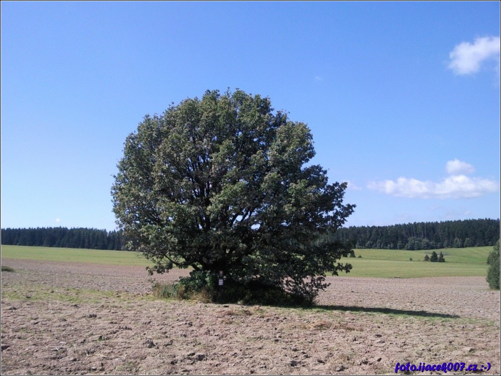 Klikněte pro zobrazení původního obrázku