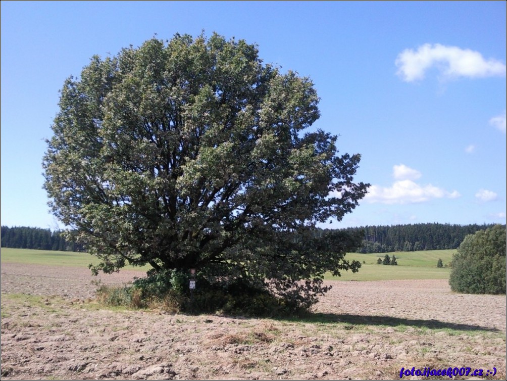 Klikněte pro zobrazení původního obrázku