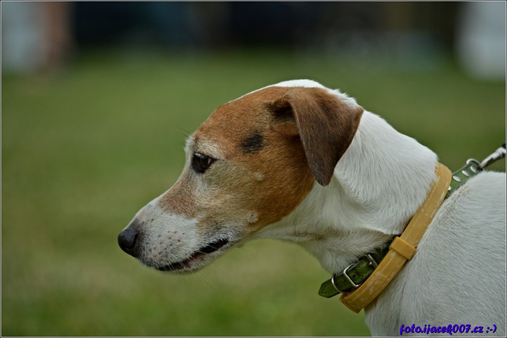 Klikněte pro zobrazení původního obrázku