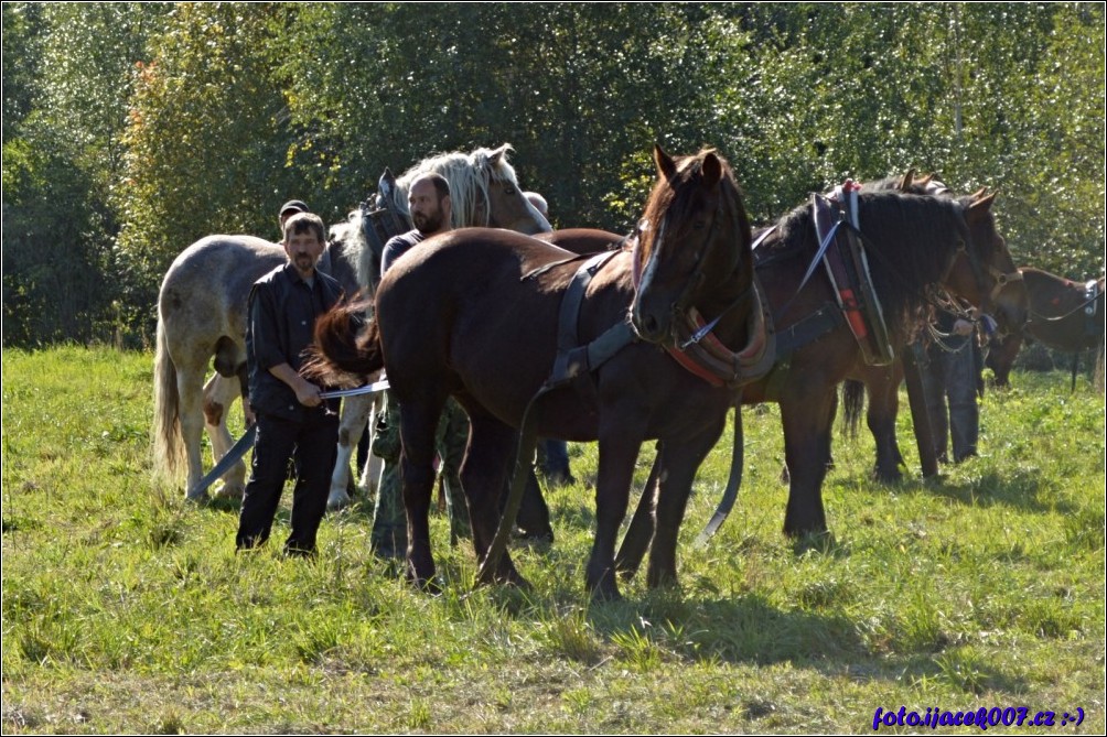 Klikněte pro zobrazení původního obrázku