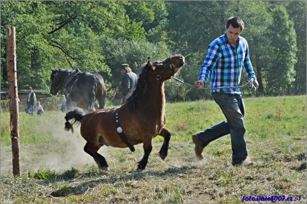 Klikněte pro zobrazení původního obrázku