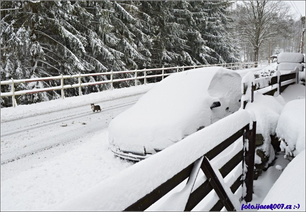 Klikněte pro zobrazení původního obrázku