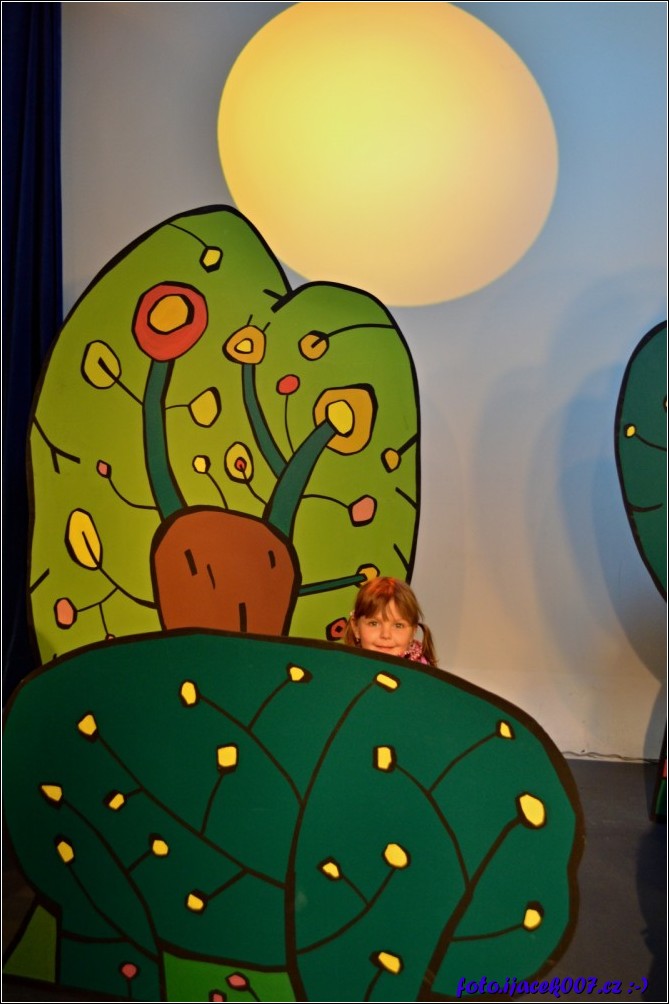 Klikněte pro zobrazení původního obrázku