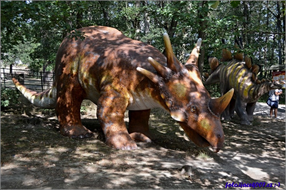 Klikněte pro zobrazení původního obrázku