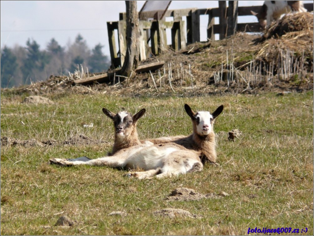 Klikněte pro zobrazení původního obrázku