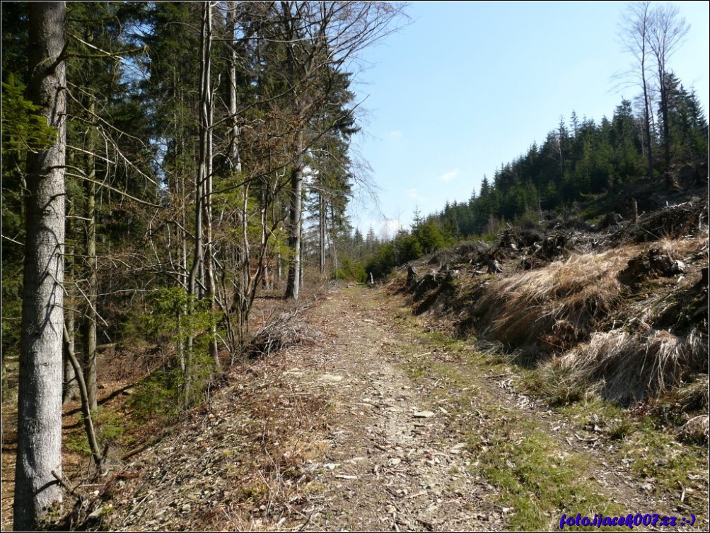 Klikněte pro zobrazení původního obrázku