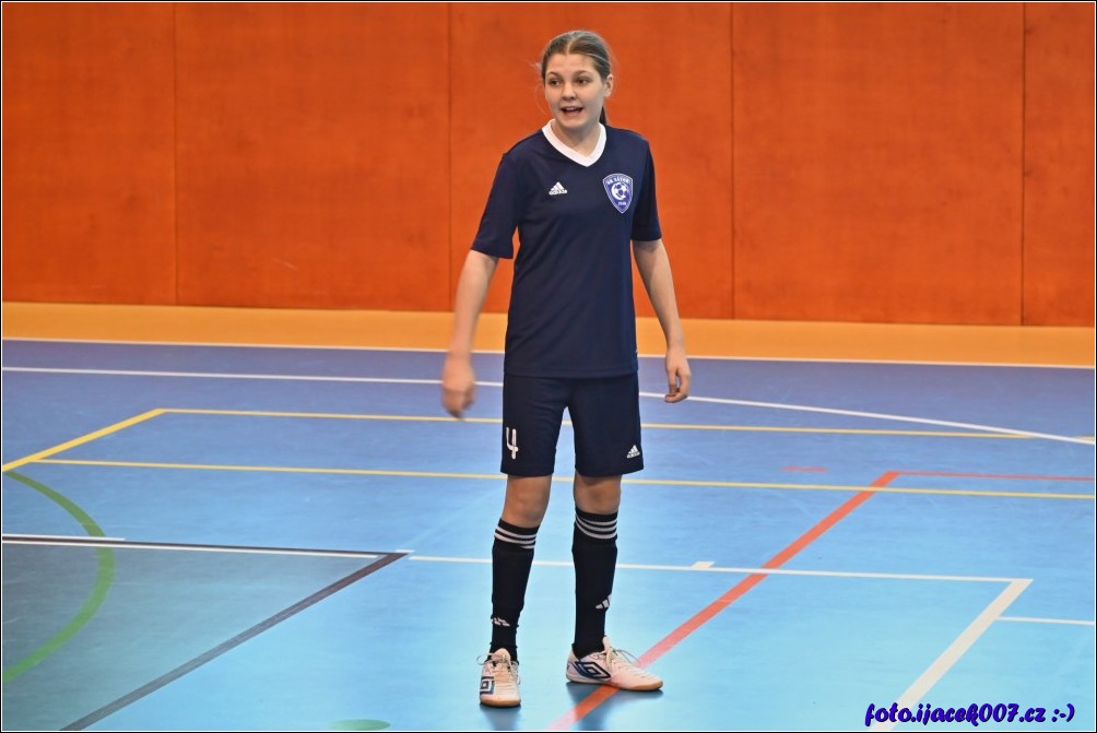 Klikněte pro zobrazení původního obrázku