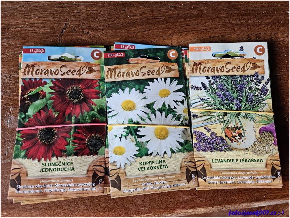 Klikněte pro zobrazení původního obrázku