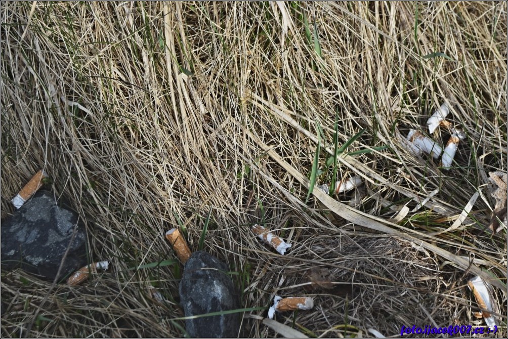 Klikněte pro zobrazení původního obrázku