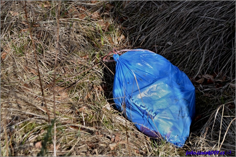 Klikněte pro zobrazení původního obrázku