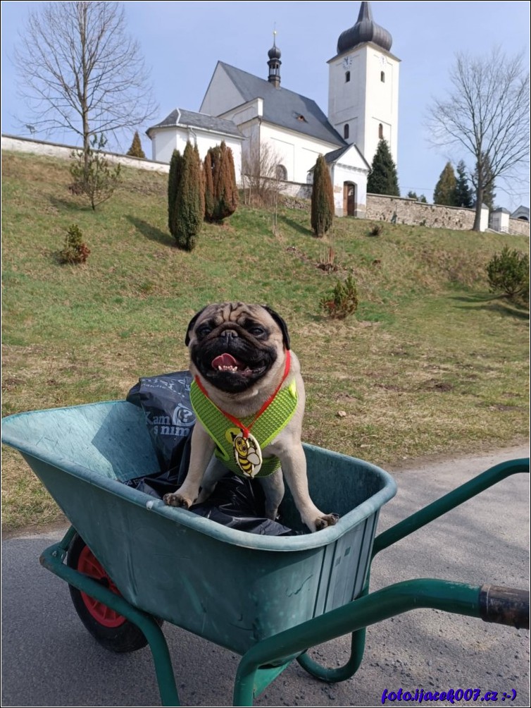 Klikněte pro zobrazení původního obrázku