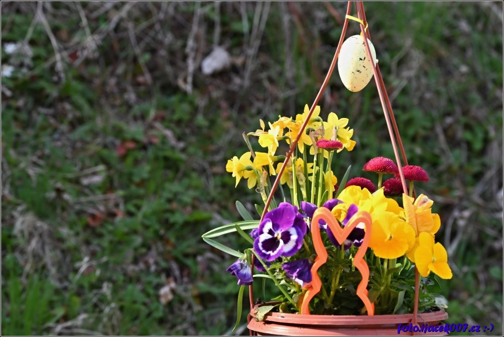 Klikněte pro zobrazení původního obrázku