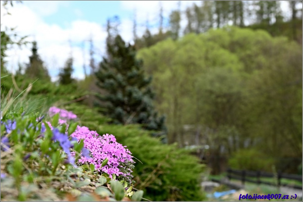 Klikněte pro zobrazení původního obrázku