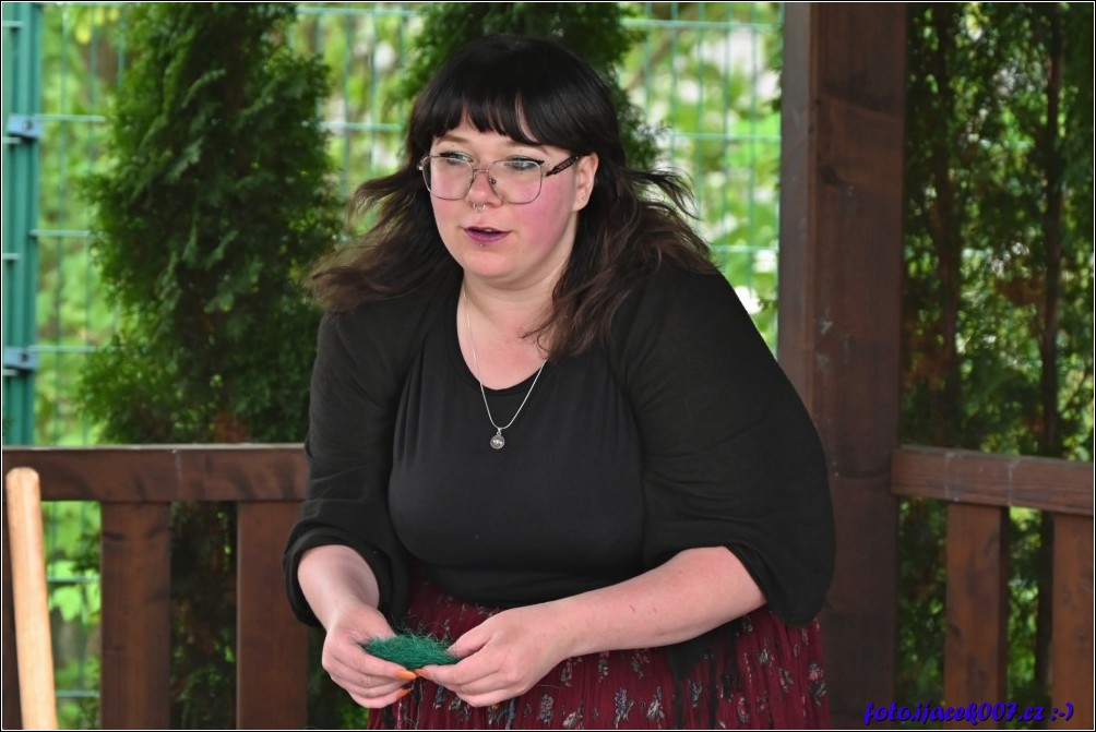 Klikněte pro zobrazení původního obrázku