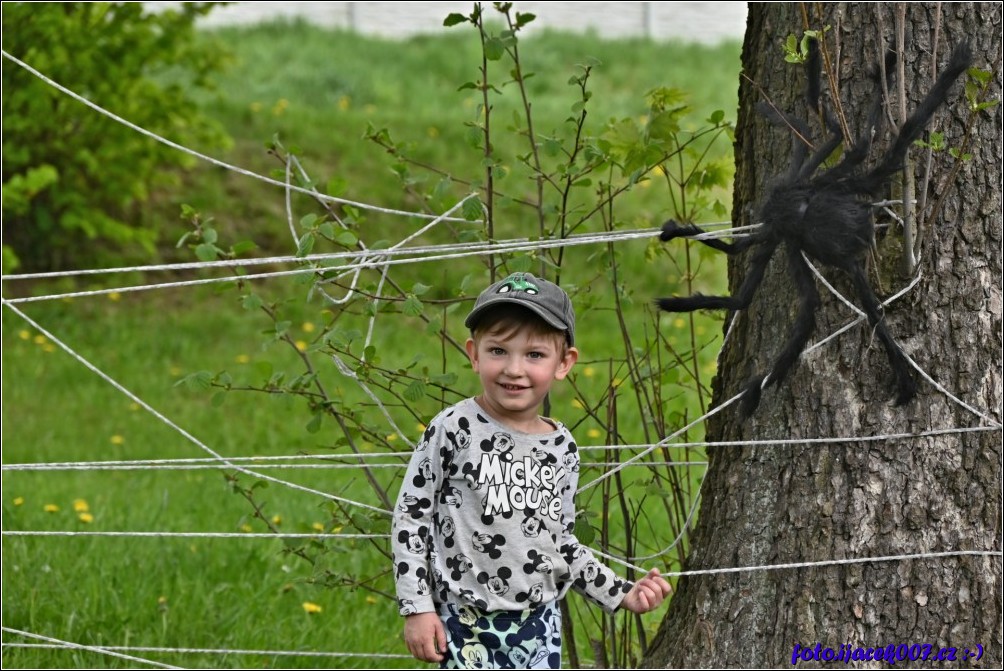 Klikněte pro zobrazení původního obrázku