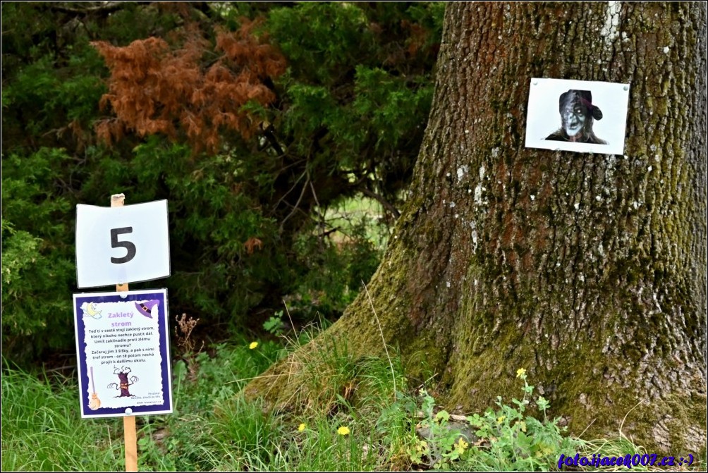 Klikněte pro zobrazení původního obrázku