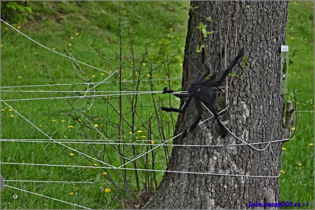 Klikněte pro zobrazení původního obrázku