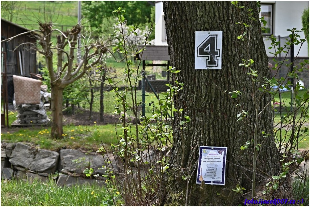 Klikněte pro zobrazení původního obrázku