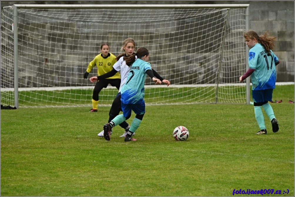 Klikněte pro zobrazení původního obrázku