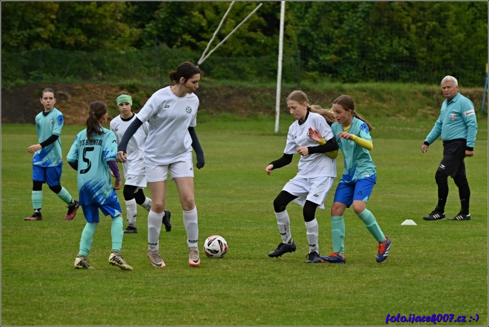 Klikněte pro zobrazení původního obrázku