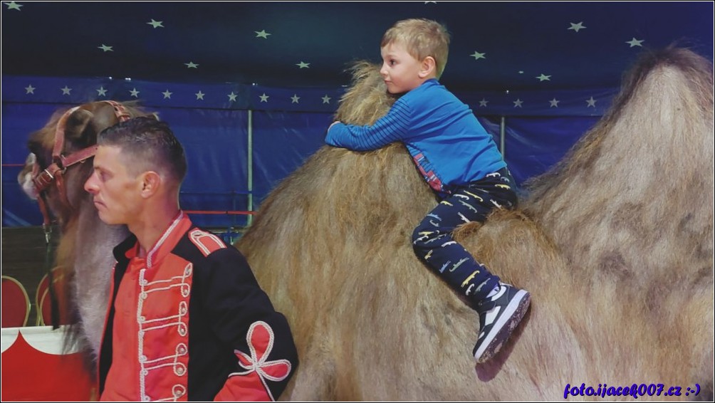 Klikněte pro zobrazení původního obrázku