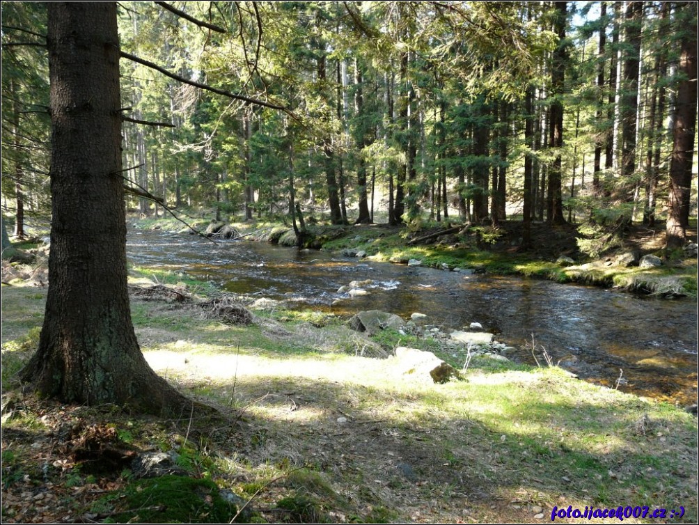 Klikněte pro zobrazení původního obrázku