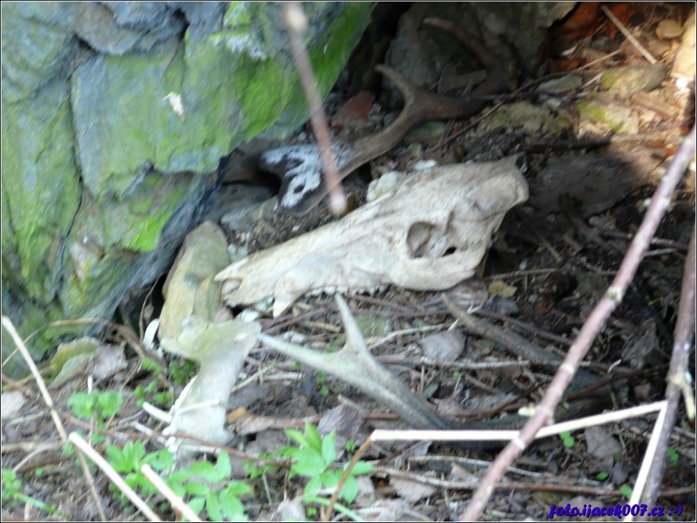 Klikněte pro zobrazení původního obrázku