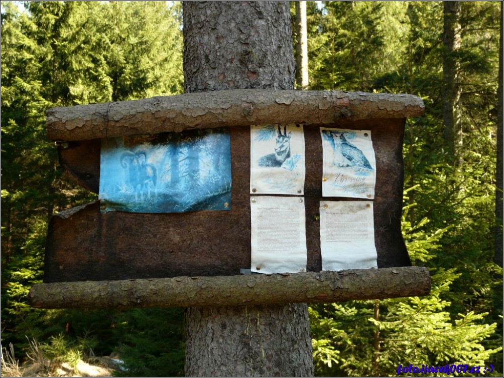 Klikněte pro zobrazení původního obrázku