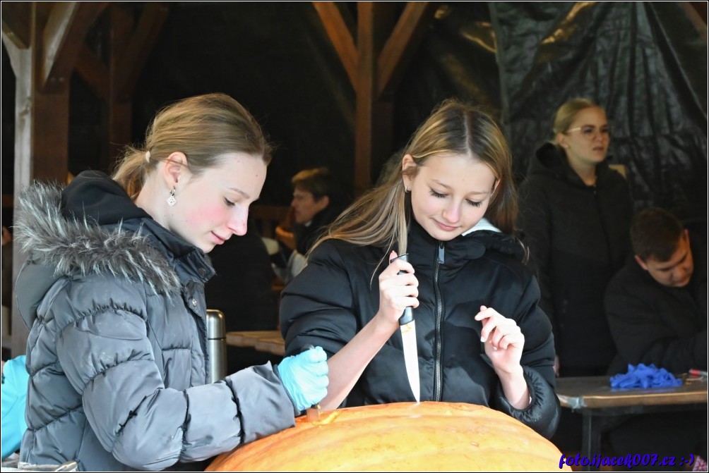 Klikněte pro zobrazení původního obrázku