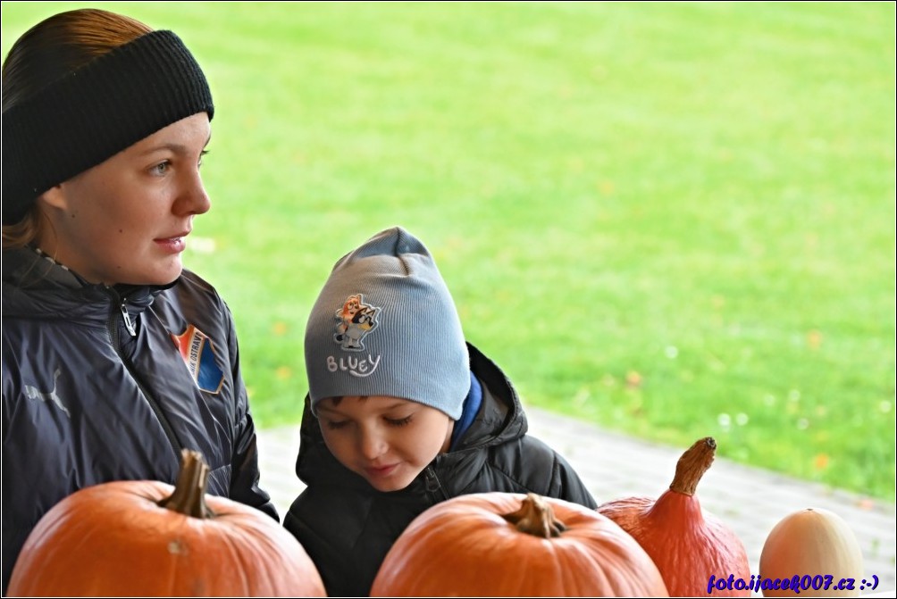 Klikněte pro zobrazení původního obrázku