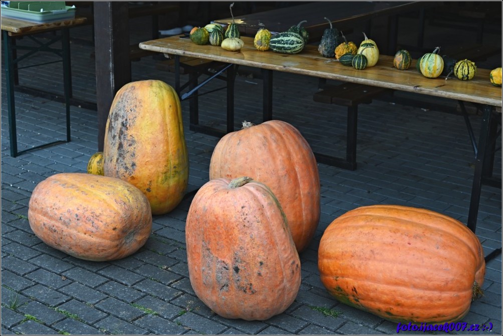 Klikněte pro zobrazení původního obrázku