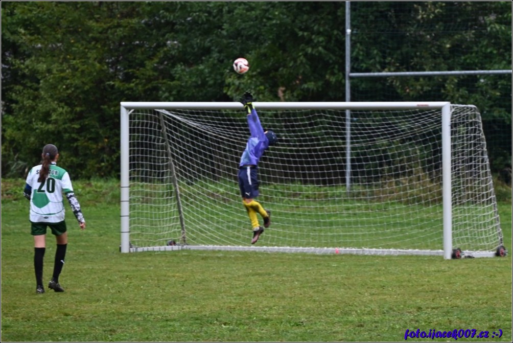 Klikněte pro zobrazení původního obrázku