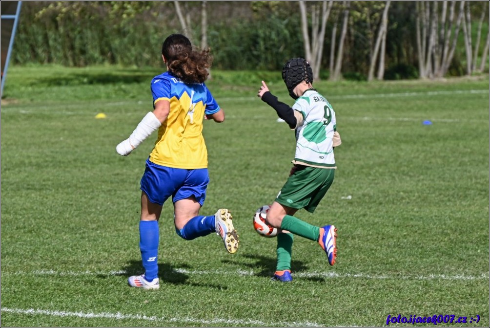 Klikněte pro zobrazení původního obrázku