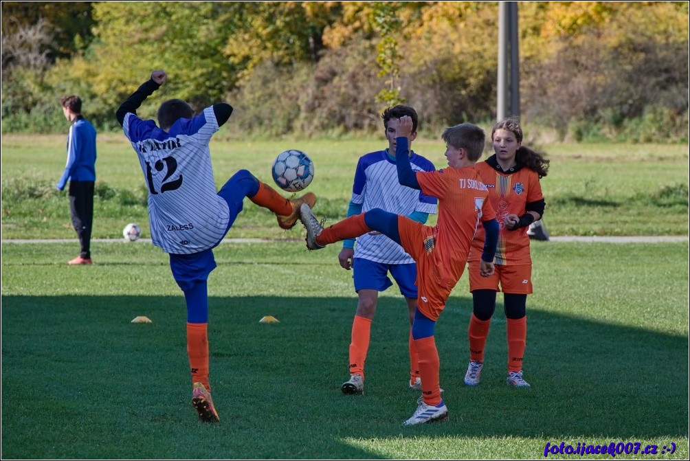 Klikněte pro zobrazení původního obrázku