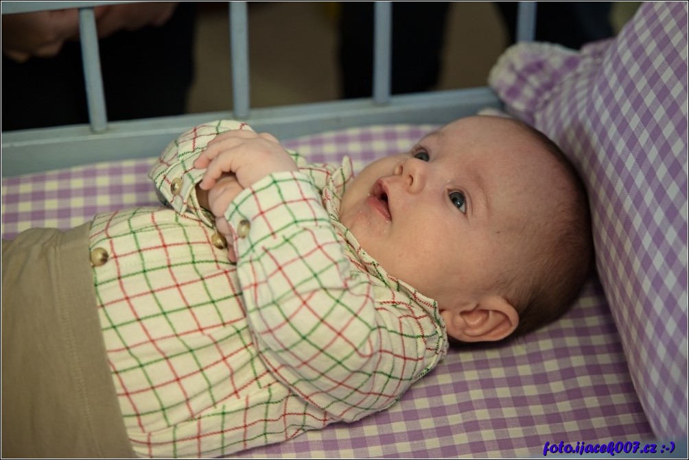 Klikněte pro zobrazení původního obrázku