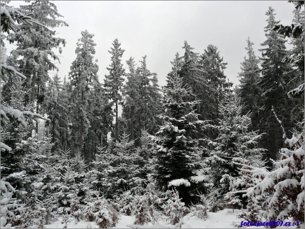 Klikněte pro zobrazení původního obrázku