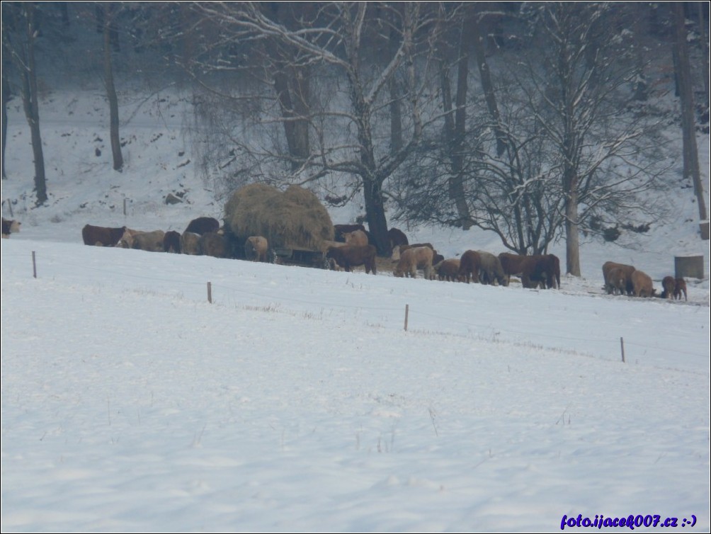 Klikněte pro zobrazení původního obrázku
