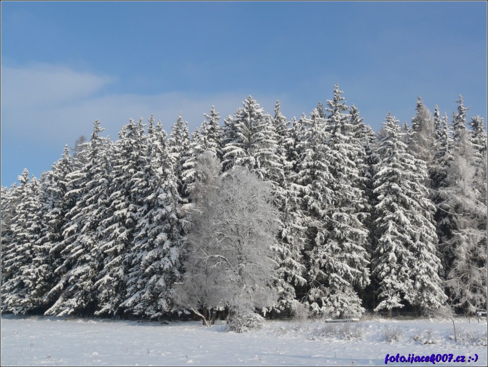 Klikněte pro zobrazení původního obrázku