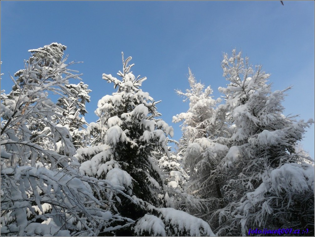 Klikněte pro zobrazení původního obrázku
