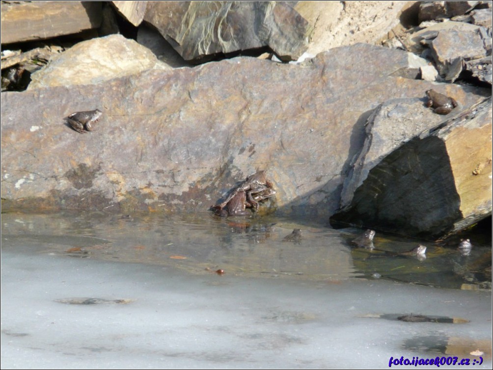 Klikněte pro zobrazení původního obrázku