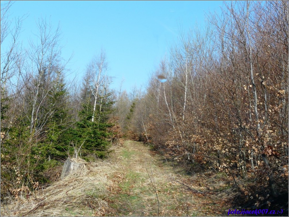 Klikněte pro zobrazení původního obrázku