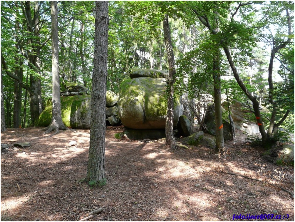 Klikněte pro zobrazení původního obrázku