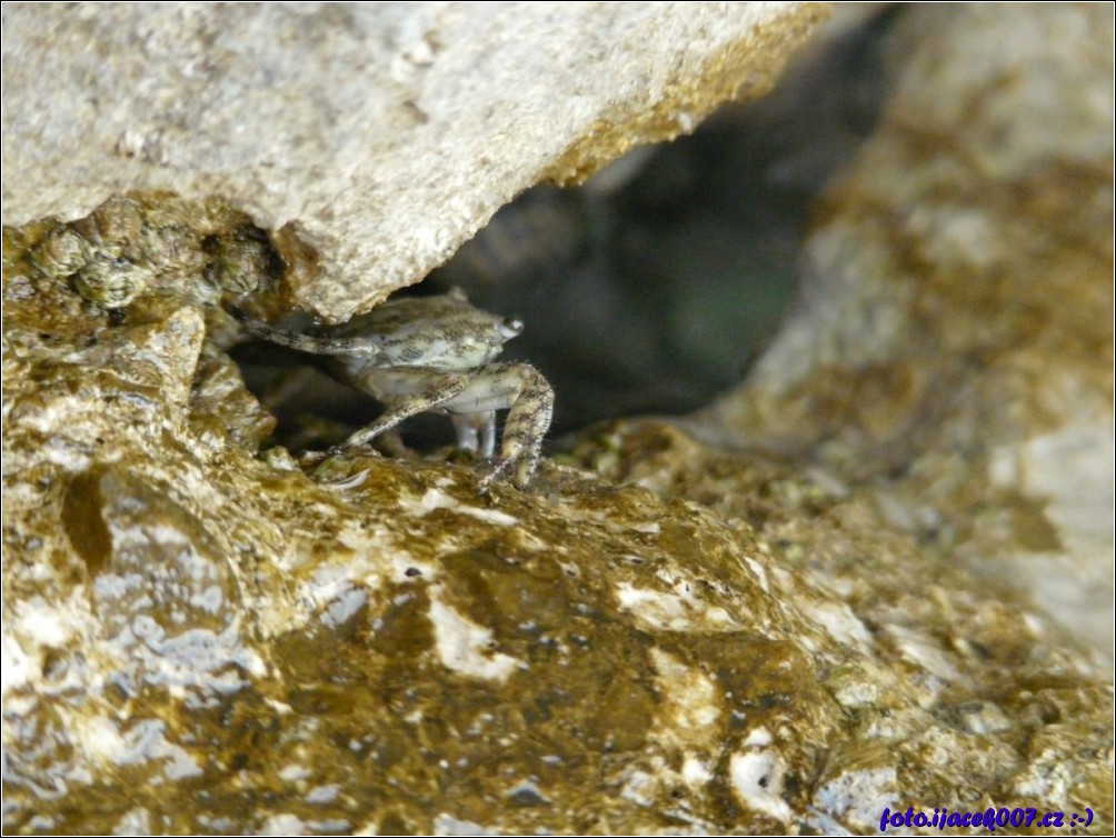 Klikněte pro zobrazení původního obrázku