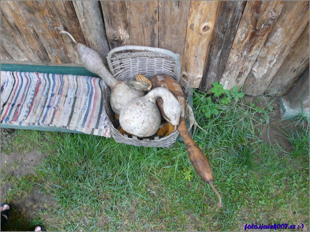 Klikněte pro zobrazení původního obrázku