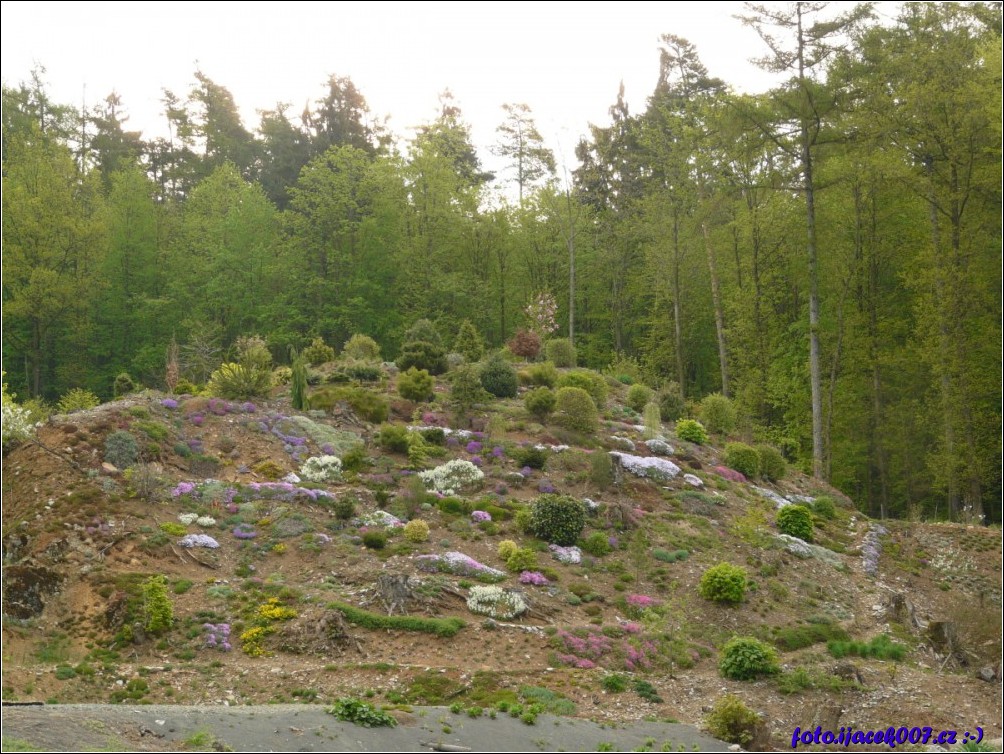 Klikněte pro zobrazení původního obrázku