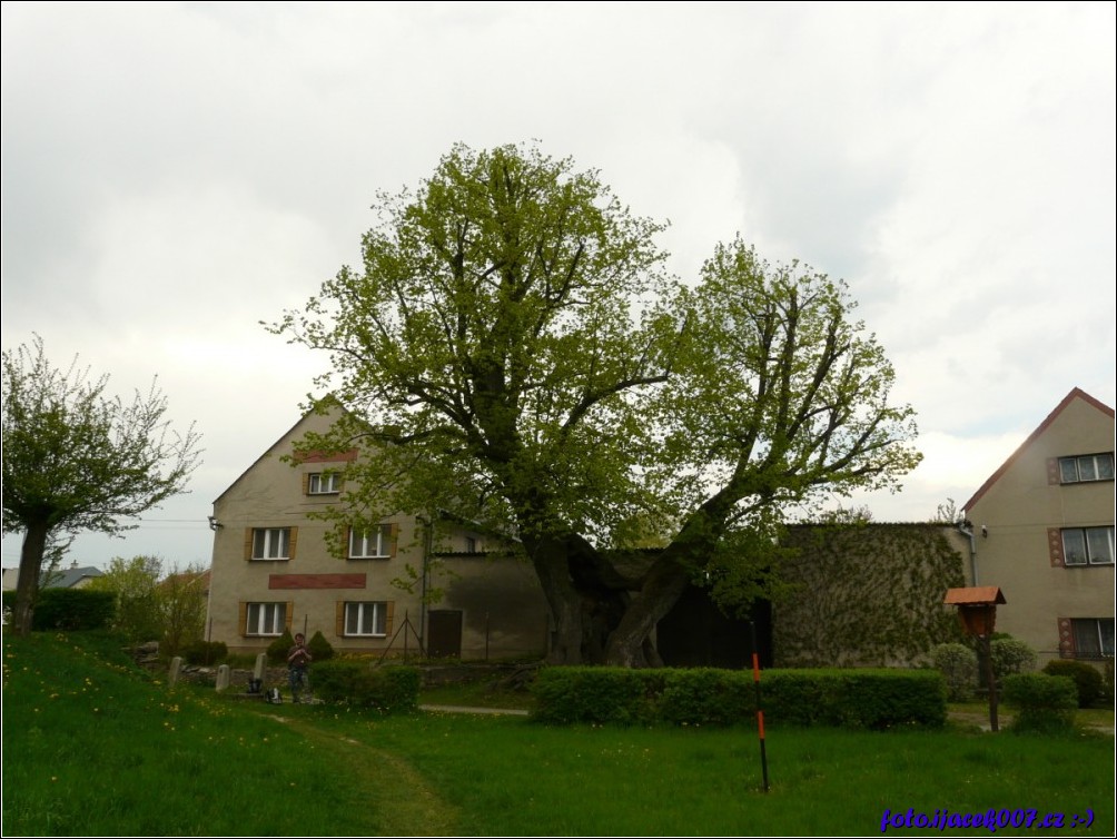 Klikněte pro zobrazení původního obrázku