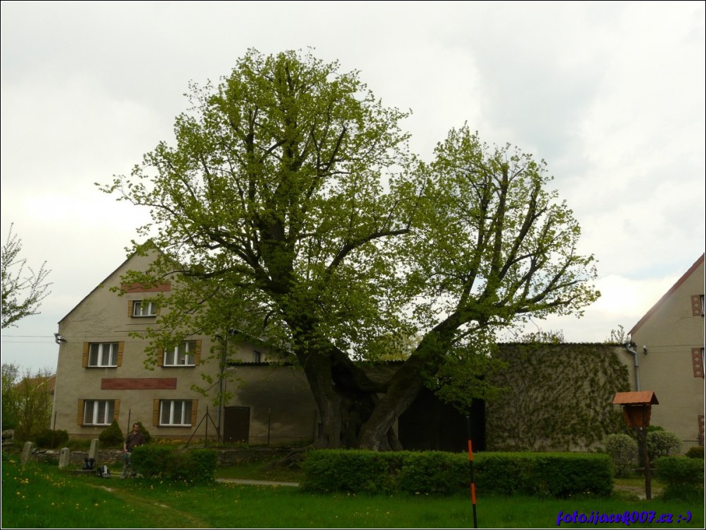 Klikněte pro zobrazení původního obrázku