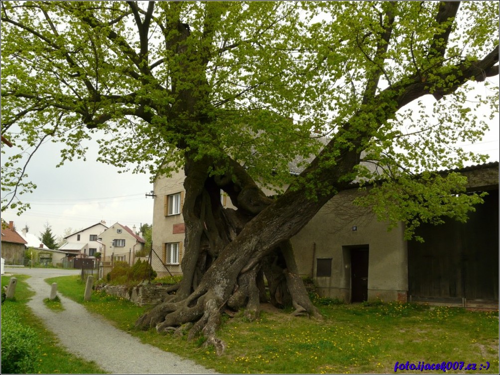 Klikněte pro zobrazení původního obrázku
