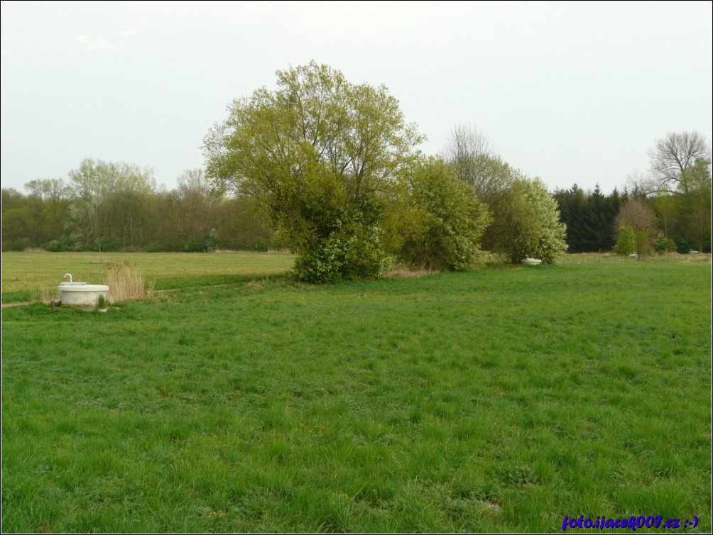 Klikněte pro zobrazení původního obrázku